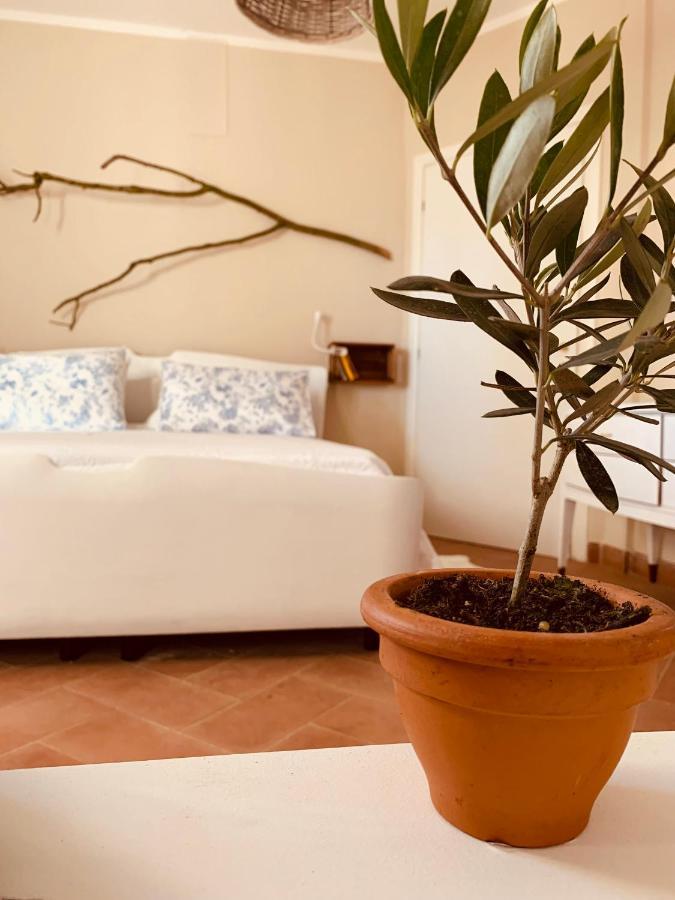 La Casa Nei Campi Villa Badia Pavese Exterior foto