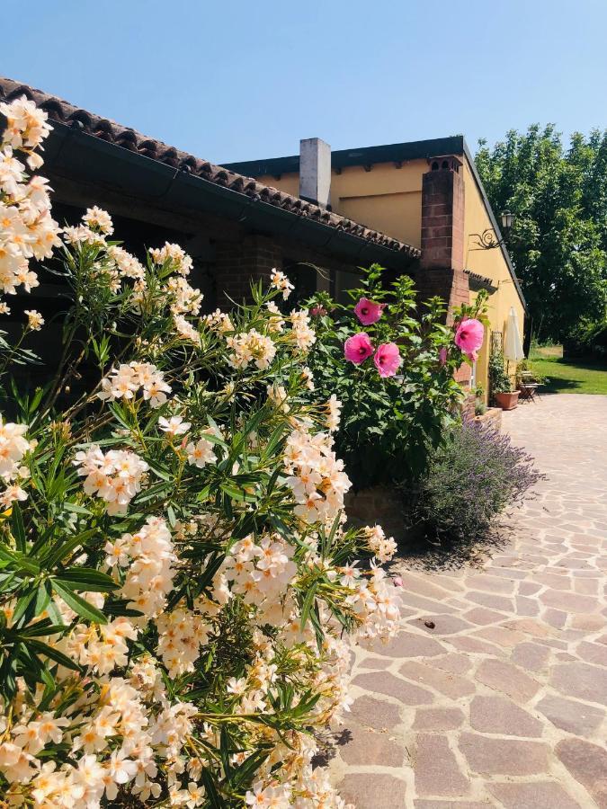 La Casa Nei Campi Villa Badia Pavese Exterior foto